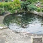 patio and pond essex